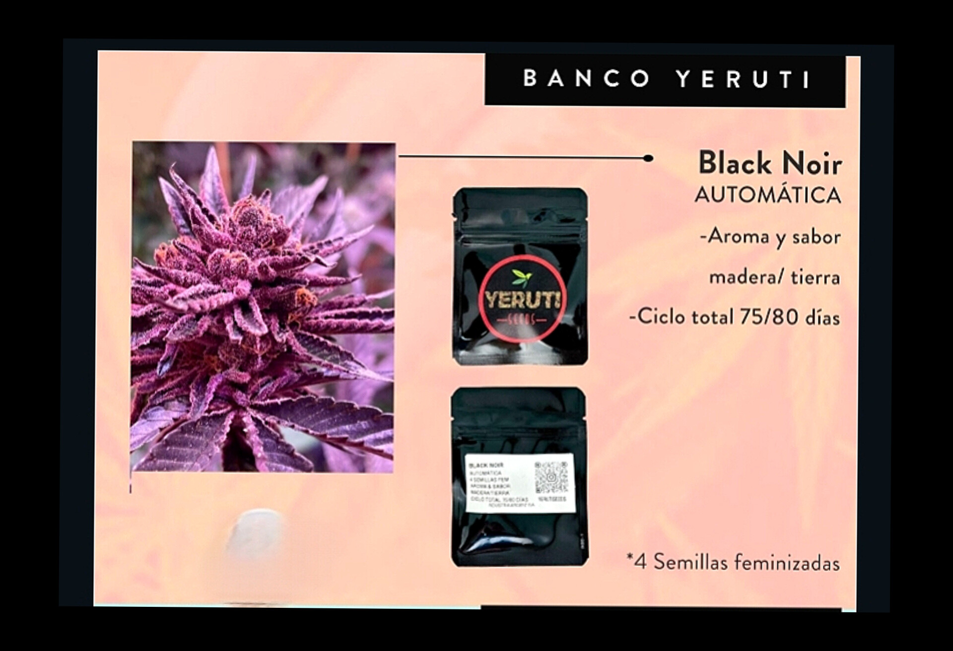 YERUTI - BLACK NOIR