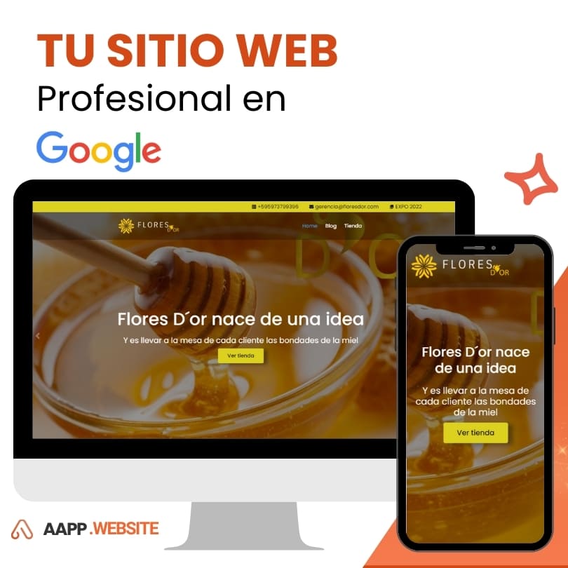 Sitio Web Profesional