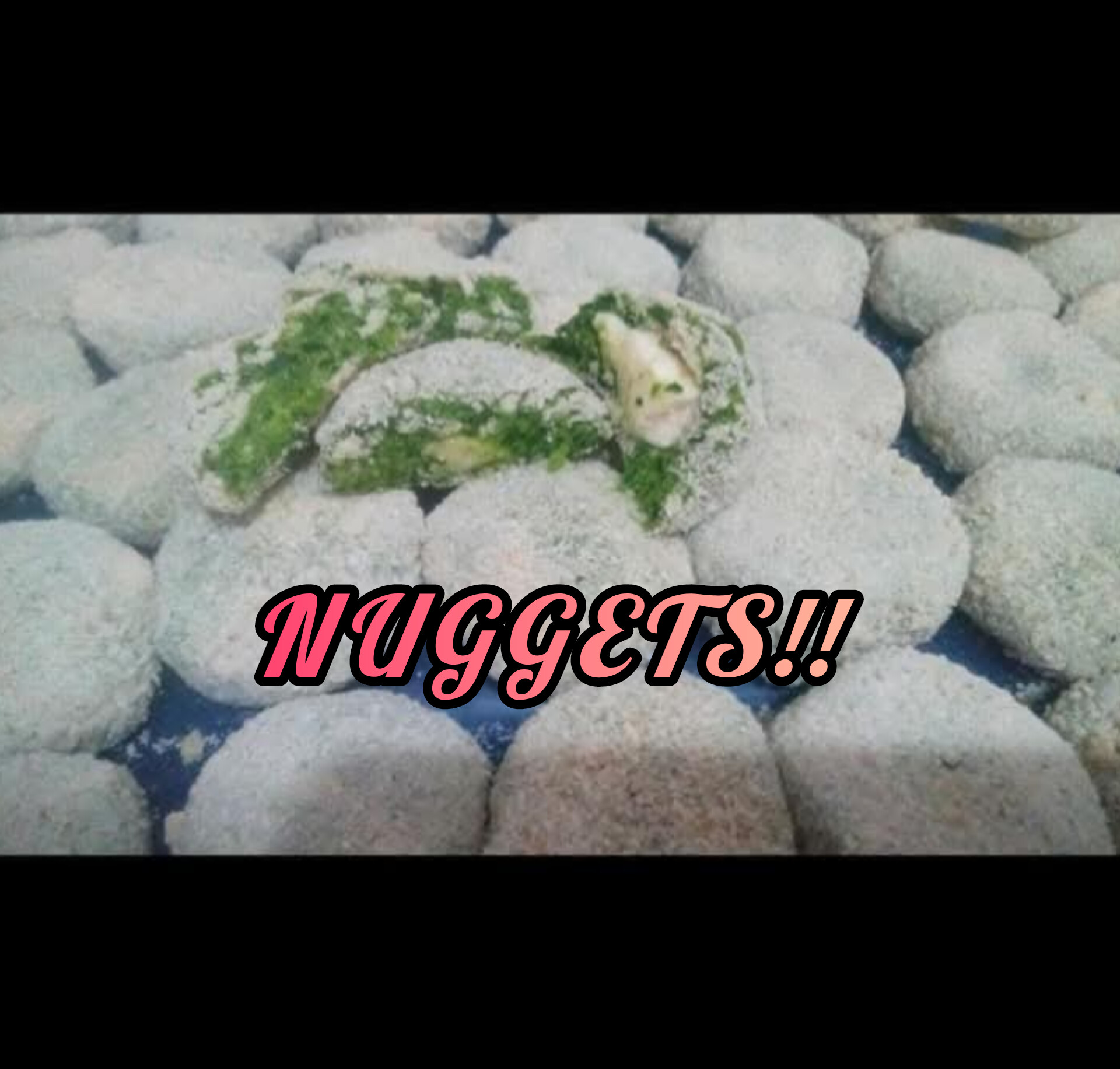 NUGGETS!!