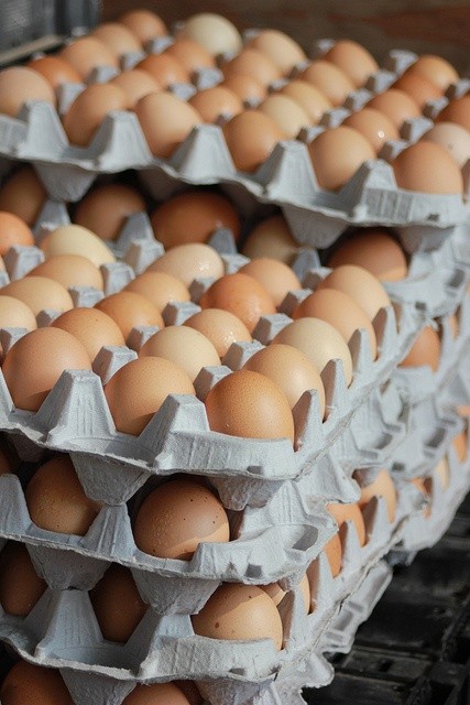 HUEVOS